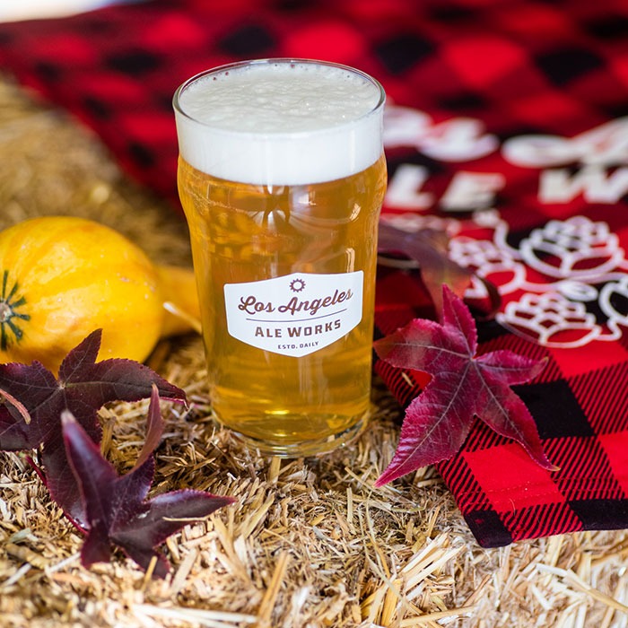 Fall Flannel Fest photo