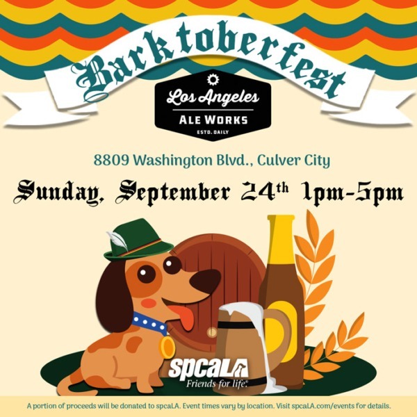 Barktoberfest in Culver City with the SPCA Los Angeles