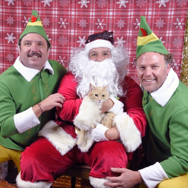 Photo of cat in Santa's Lap with 2 elves
