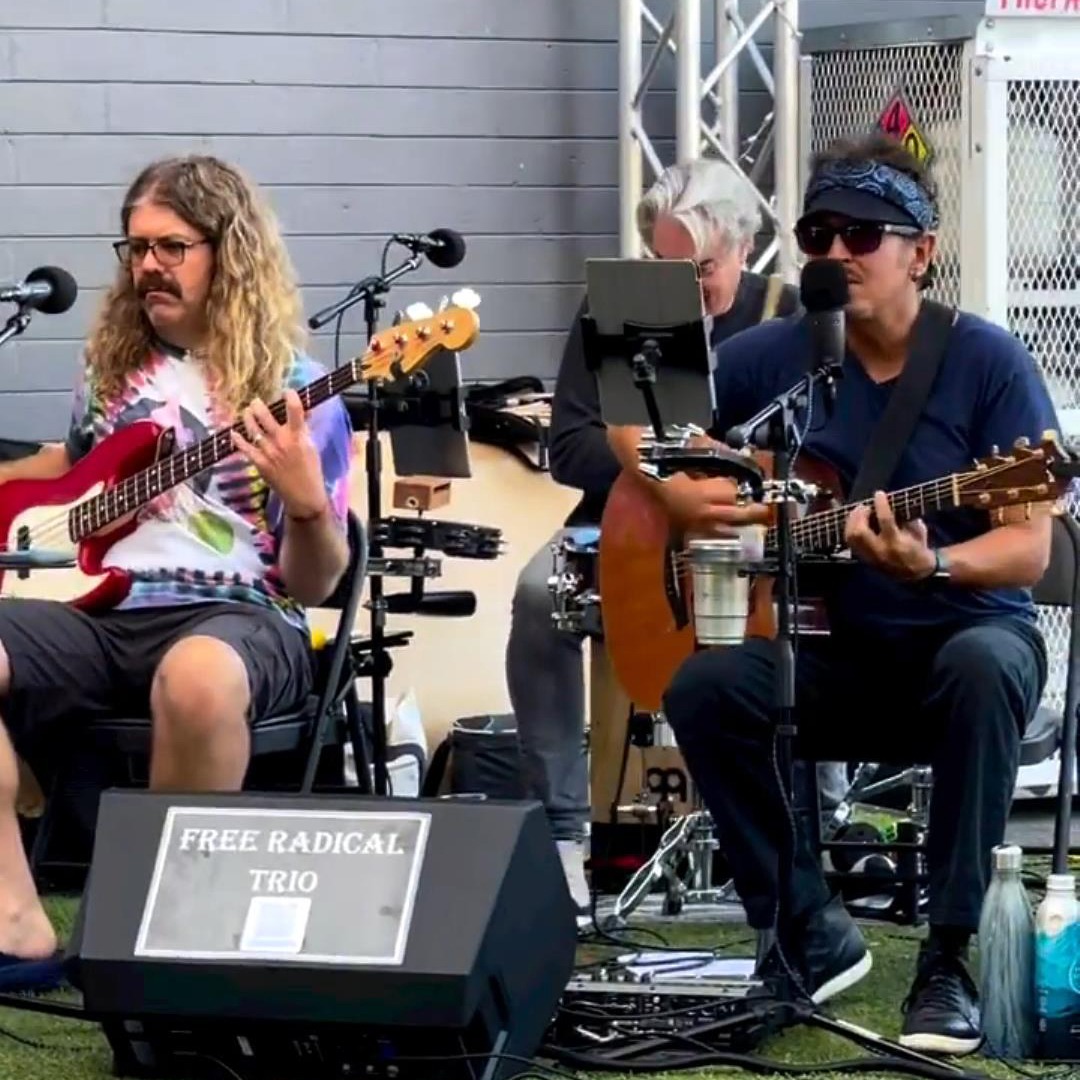 Free Radical Trio band